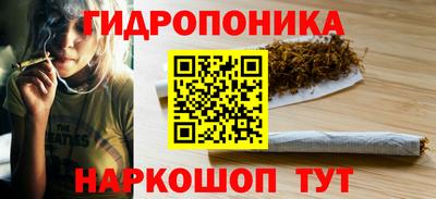 PSILOCYBIN Брянск